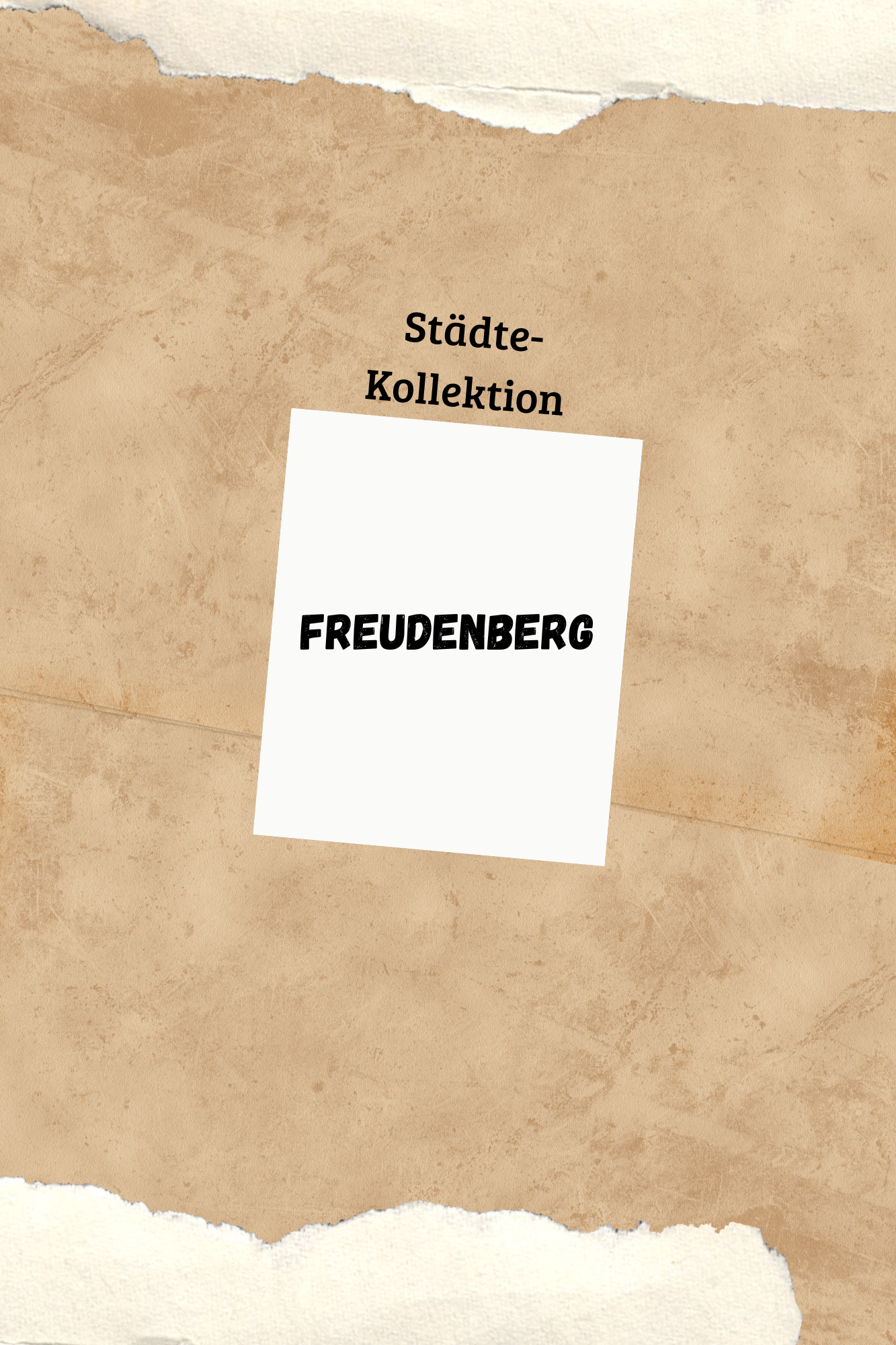 Freudenberg Shop 